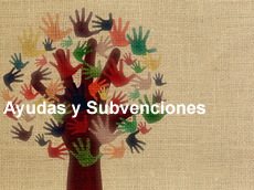 Subvención dirigida a entidades sin fin de lucro para el desarrollo de un Programa de actuación y acompañamiento al realojo de familias en situación de exclusión social y residencial cronificada. Año 2023